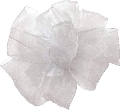 Berwick Offray LLC 135754 Simply Sheer Asiana Ribbon - 7/8" W X 100 yd - White Ribbon in Saudi Arabia