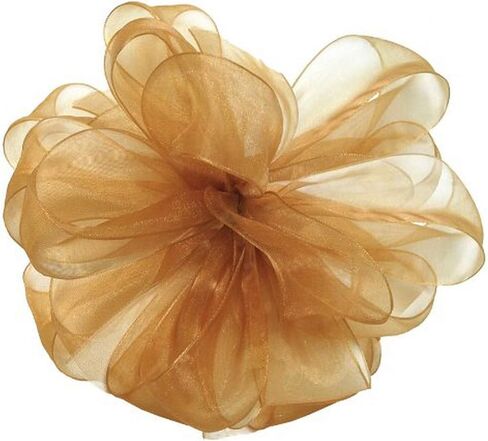 Berwick Offray LLC 135754 Simply Sheer Asiana Ribbon - 7/8" W X 100 yd - White Ribbon in Saudi Arabia