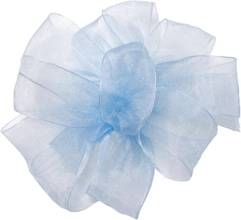 Berwick Offray LLC 135754 Simply Sheer Asiana Ribbon - 7/8" W X 100 yd - White Ribbon in Saudi Arabia