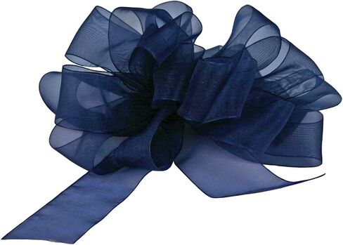 Berwick Offray LLC 135754 Simply Sheer Asiana Ribbon - 7/8" W X 100 yd - White Ribbon in Saudi Arabia