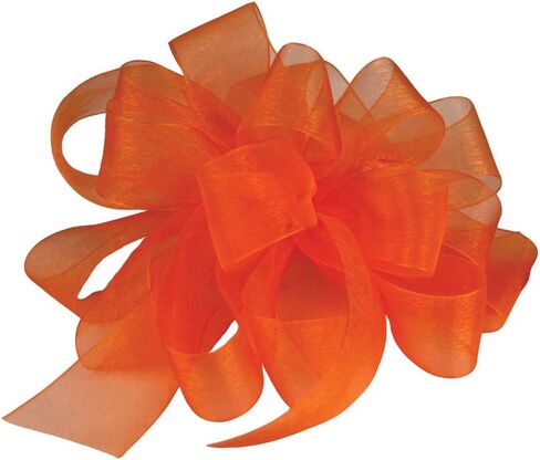 Berwick Offray LLC 135754 Simply Sheer Asiana Ribbon - 7/8" W X 100 yd - White Ribbon in Saudi Arabia