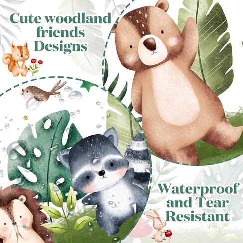 50ft Jungle Animal Bulletin Board Borders Woodland Classroom Borders Jungle Animal Cutouts Bulletin Board Back to School Decals Summer Board Decor Colorful Border Trims(Woodland Animals) in Saudi Arabia
