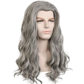 Mens Gray Wig Long Wavy Gray Male Wig Heat Resistant Cosplay Halloween Costume Wig (Gray)