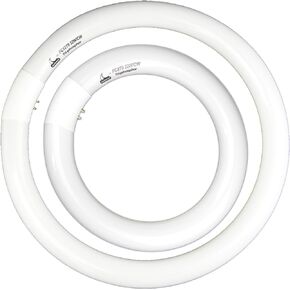 FC8T9/CW 22W and FC12T9/CW 32W Cool White Round Fluorescent Light Bulb Set, 8 inch T9 22 Watts & Circular Bulbs 12 inch 32 Watts Pack, Circline Kitchen and Bath Lamp, CRI 80, 4100K, G10q Prong