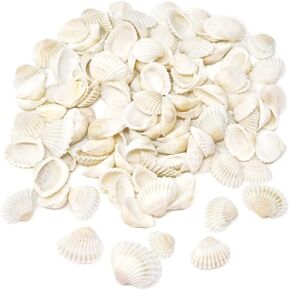 yueton 250g White Seashell Small Sea Shells Clams for DIY Crafts, Jewelry Making, Home Decorations, Vase Fillers