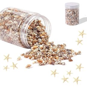 Calonge 1000+ Tiny Sea Shells Small Natural Starfish Mixed Ocean Beach Spiral Seashells for for DIY Crafts,Home Decorations,Wedding Decor,Candle Making,Beach Theme Party and Vase Filler