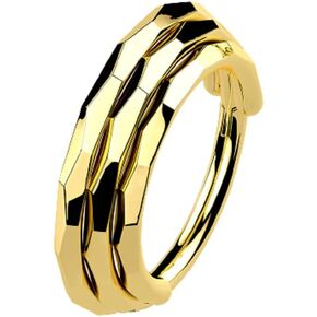 Pierced Owl 16GA G23 Implant Grade Titanium Triple Lined Faceted Sides Hinged Segment Ring