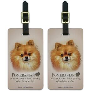 Pomeranian Dog Breed Luggage ID Tags Suitcase Carry-On Cards - Set of 2