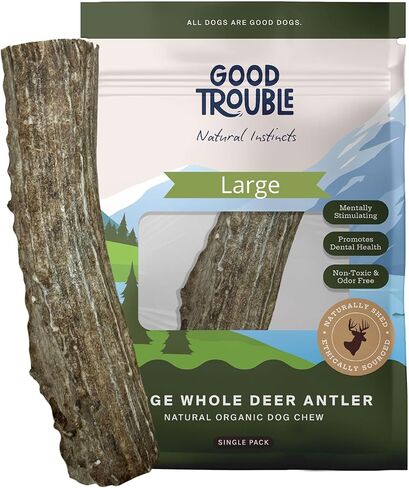 مضغ ممتاز للكلاب من جود تروبل بيتس - قرون غزال من أمريكا الشمالية لصحة الأسنان وتخفيف القلق - ألعاب مضغ خالية من الروائح وغير سامة للكلاب، 1 قرن الوعل كامل، كبير in Kuwait