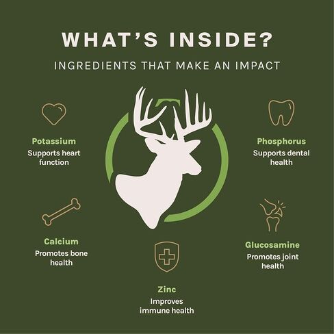 مضغ ممتاز للكلاب من جود تروبل بيتس - قرون غزال من أمريكا الشمالية لصحة الأسنان وتخفيف القلق - ألعاب مضغ خالية من الروائح وغير سامة للكلاب، 1 قرن الوعل كامل، كبير in Kuwait