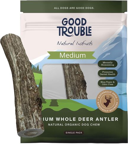 مضغ ممتاز للكلاب من جود تروبل بيتس - قرون غزال من أمريكا الشمالية لصحة الأسنان وتخفيف القلق - ألعاب مضغ خالية من الروائح وغير سامة للكلاب، 1 قرن الوعل كامل، كبير in Kuwait