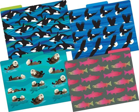 Barker Creek Designer File Folders Set of 36, Sea & Sky, Multi-Design Set, Sea & Sky-Themed Designs, Fully Reversible, Letter-Size, 1/3 Cut Tabs, 36 Folders in Set (3914) in Saudi Arabia