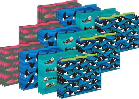 Barker Creek Designer File Folders Set of 36, Sea & Sky, Multi-Design Set, Sea & Sky-Themed Designs, Fully Reversible, Letter-Size, 1/3 Cut Tabs, 36 Folders in Set (3914) in Saudi Arabia