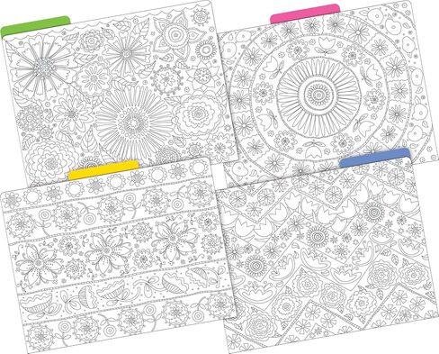 Barker Creek Designer File Folders Set of 36, Sea & Sky, Multi-Design Set, Sea & Sky-Themed Designs, Fully Reversible, Letter-Size, 1/3 Cut Tabs, 36 Folders in Set (3914) in Saudi Arabia