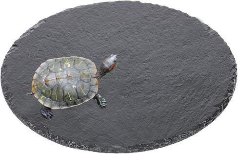 Reptile Basking Platform, Durable, Versatile, Non-Slip, Natural Look, 7.8 Inch Diameter, Multiple Pets in Saudi Arabia