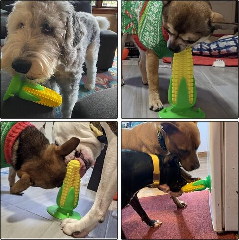 BINGPET 6 عبوات من ألعاب الكلاب التفاعلية، ألعاب متينة للكلاب في الهواء الطلق للمضغ العدواني، كرات ضاحكة للكلاب الصغيرة والمتوسطة الكبيرة، ألعاب مضغ لطيفة للكلاب على شكل كرة حلوى لإبقائها مشغولة in Kuwait