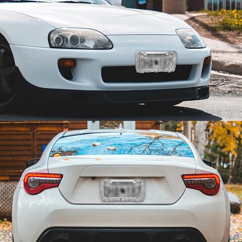 2PCS Car License Plate Frame American Standard License Plate Holder, Car License Plate Covers with Screws & Tools (Dragon, 12.65 * 6.5 * 3.85) in Saudi Arabia