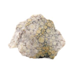 EISCO Raw Conglomerate, Sedimentary Rock Specimen - Approx. 1" - Geologist Selected & Hand Processed - Great for Science Classrooms (12)