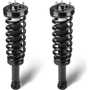 Front Complete Struts Assembly w/Coil Spring Shock Absorber Compatible with Ford F-150 2009-2013, Replace for 171141, 2Pcs