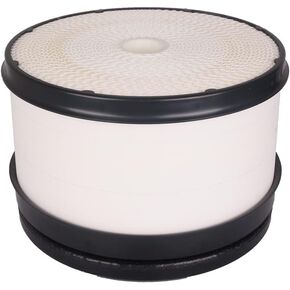 25839611 Air Filter Compatible with Chevrolet Silverado & GMC Sierra Series 6.6L Engine Vehicles | 2500 HD,2500 HD Classic,3500,3500 HD,3500 Classic - Replaces A3087C, P610875, 25839611, 49184, A2947C