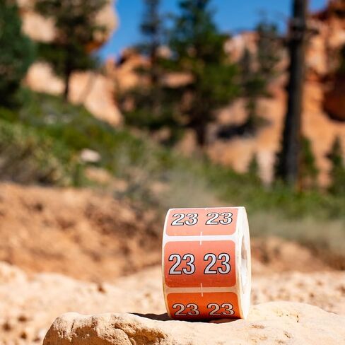 2022 Year Barkley Compatible Filing Medical Healthcare Labels 1 x 1.5 Inch 500 Total Stickers in Saudi Arabia