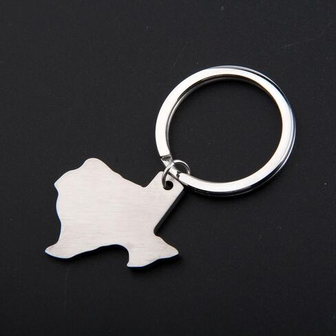 CHOROY Texas Sign Keychain Long Distance Relationship Gift Texas Jewelry Moving Away Gift For Her or Him (Texas Keychain) in Saudi Arabia