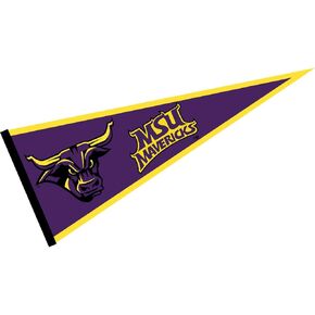 College Flags & Banners Co. Minnesota State Mavericks Pennant