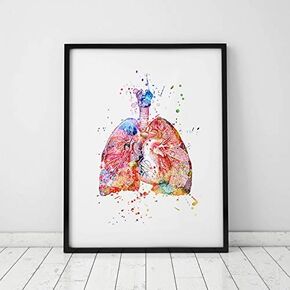 Watercolor Anatomy Lungs Wall Art Decor Anatomical Lungs Vintage Graphics Art Print Wall Hanging Original Design Lungs Printed Artwork 8x10 inch No Frame