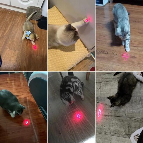 Cat Laser Toys, 2 in 1 Laser Pointer Cat Toys,Internative Cat Toys for Indoor Cats,3+5 Light Modes Cat Wand Toy, Retractable Cat Feather Toys, Long Range Kitten Toys,USB Rechargeable in Saudi Arabia