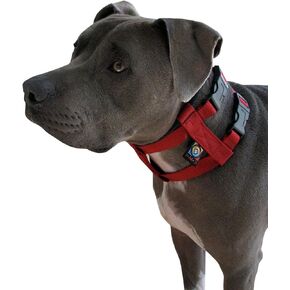 Cesar Millan Original American Illusion Collar Training Collar & Lead