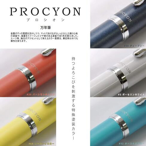 Platinum Fountain Pen, Prosion #50 Deep Sea, Fine Point, PNS-5000 50-2 in Saudi Arabia