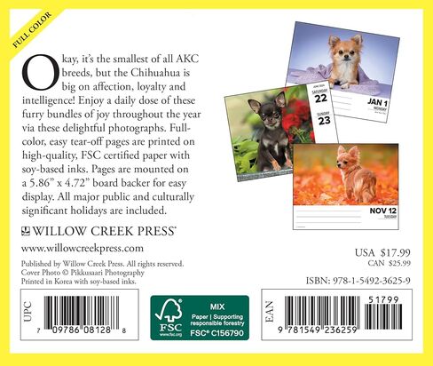 Willow Creek Press Chihuahuas Daily 2024 صندوق/تقويم مكتبي (5.86 بوصة × 4.72 بوصة) in Saudi Arabia