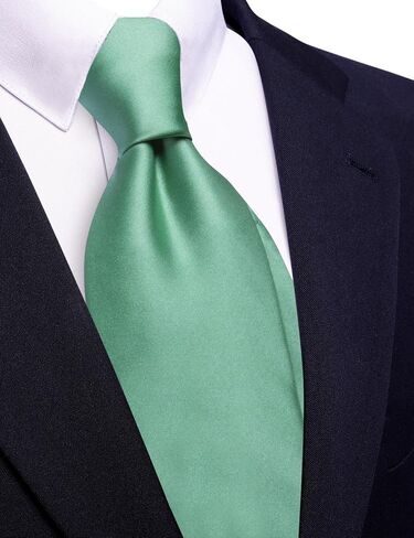 Barry.Wang Neckties for Man Solid Neckties Silk Woven Tie for Man Necktie Clips Formal Classic 3.34" Business Party in Saudi Arabia