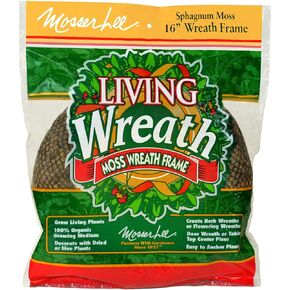 Mosser Lee KEW168 16" Living Wreath