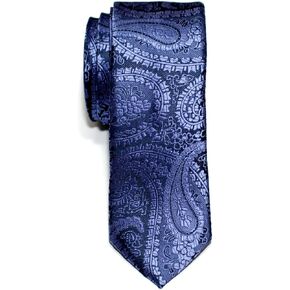 Retreez Paisley Art Pattern Woven Microfiber Skinny Tie Necktie