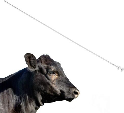 حقنة التلقيح من الفولاذ المقاوم للصدأ للماشية، أداة تسميد إبرة بذر البقر، ملحقات أدوات تربية المزرعة (S) in Kuwait