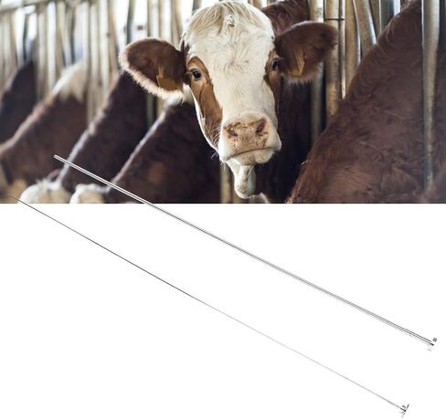 حقنة التلقيح من الفولاذ المقاوم للصدأ للماشية، أداة تسميد إبرة بذر البقر، ملحقات أدوات تربية المزرعة (S) in Kuwait