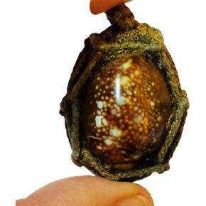 Magic Amulet Bia Kae Shell Embed Takrud & Pha Yant Wessuwan Giant God Talisman Cloth Mantra Thai Charm Amulet Protection Sickness Danger Evil Spirit Demon Ghost Blessing LP YangDam