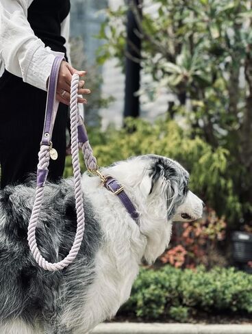 5ft Braided Cotton Rope Dog Leash with Soft Padded Genuine Leather Handle for Small Medium and Large Dogs - Handmade Comfort & Cute Leash for Girl and Boy Puppies - Blue in Saudi Arabia