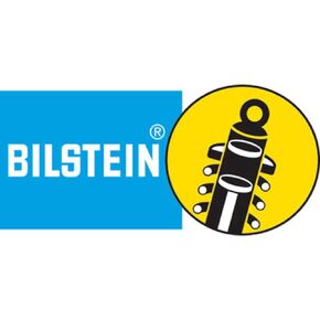 Bilstein B6 99-04/06-13 Ford F53 Steering Damper (24-245975)