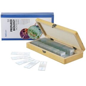 AmScope PS50A Prepared Microscope Slide Set for Basic Biological Science Education, 50 Biology and Pathology Slides, Includes Fitted Wooden Case