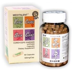 Cordyceps Sinensis Hyphas Mycelium - 500mg - 90 Capsules