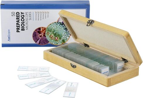 AmScope PS50A Prepared Microscope Slide Set for Basic Biological Science Education, 50 Biology and Pathology Slides, Includes Fitted Wooden Case in Kuwait