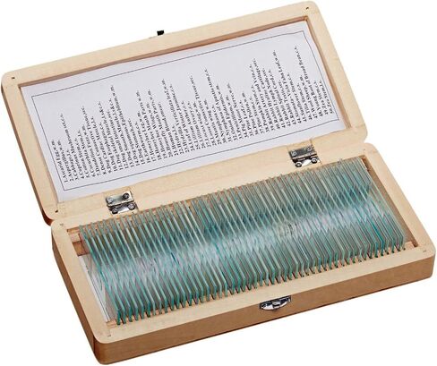 AmScope PS50A Prepared Microscope Slide Set for Basic Biological Science Education, 50 Biology and Pathology Slides, Includes Fitted Wooden Case in Kuwait