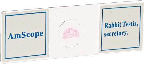 AmScope PS50A Prepared Microscope Slide Set for Basic Biological Science Education, 50 Biology and Pathology Slides, Includes Fitted Wooden Case in Kuwait