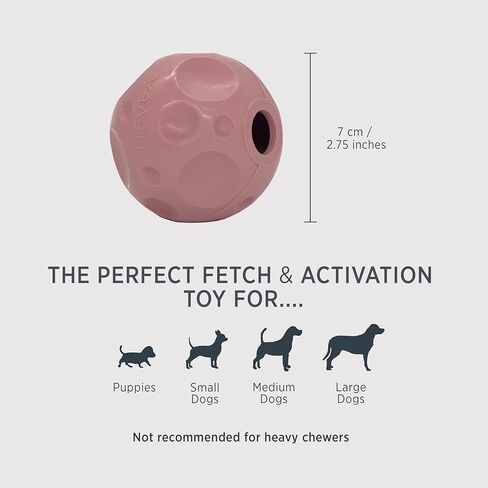 HEVEA Moon Ball Activity Toy for Dogs. The Ball for Dogs is Made from Non-Toxic, PVC-Free, BPA-Free Natural Rubber. 2.55" (Natural) in Kuwait