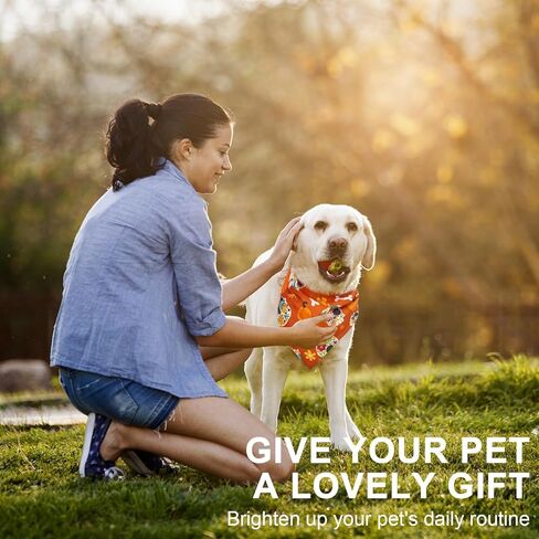BINGPET 4 عبوات من عصابات الكلاب، وشاح مرايل كلب مثلث ناعم ملون أنيق، منديل قابل للغسل لحفلات المهرجانات للفتيات الصغيرات أو الأولاد والقطط (الأحمر والأرجواني والأسود والبرتقالي) in Kuwait