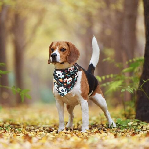 BINGPET 4 عبوات من عصابات الكلاب، وشاح مرايل كلب مثلث ناعم ملون أنيق، منديل قابل للغسل لحفلات المهرجانات للفتيات الصغيرات أو الأولاد والقطط (الأحمر والأرجواني والأسود والبرتقالي) in Kuwait