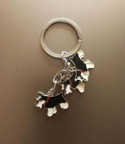 سلسلة مفاتيح للحيوانات الأليفة، ثلاثة كلاب لطيفة على شكل قلادة جميلة على شكل كلب، حقيبة مفاتيح معدنية للحيوانات الأليفة كهدية عيد ميلاد in Kuwait