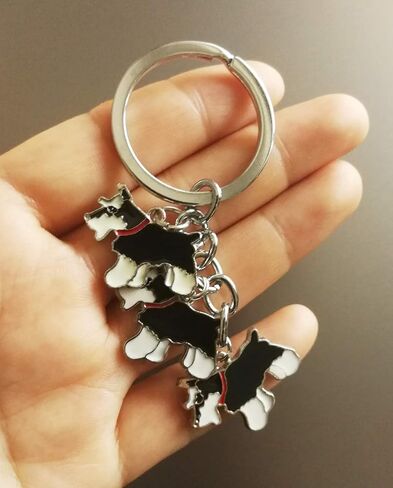 سلسلة مفاتيح للحيوانات الأليفة، ثلاثة كلاب لطيفة على شكل قلادة جميلة على شكل كلب، حقيبة مفاتيح معدنية للحيوانات الأليفة كهدية عيد ميلاد in Kuwait